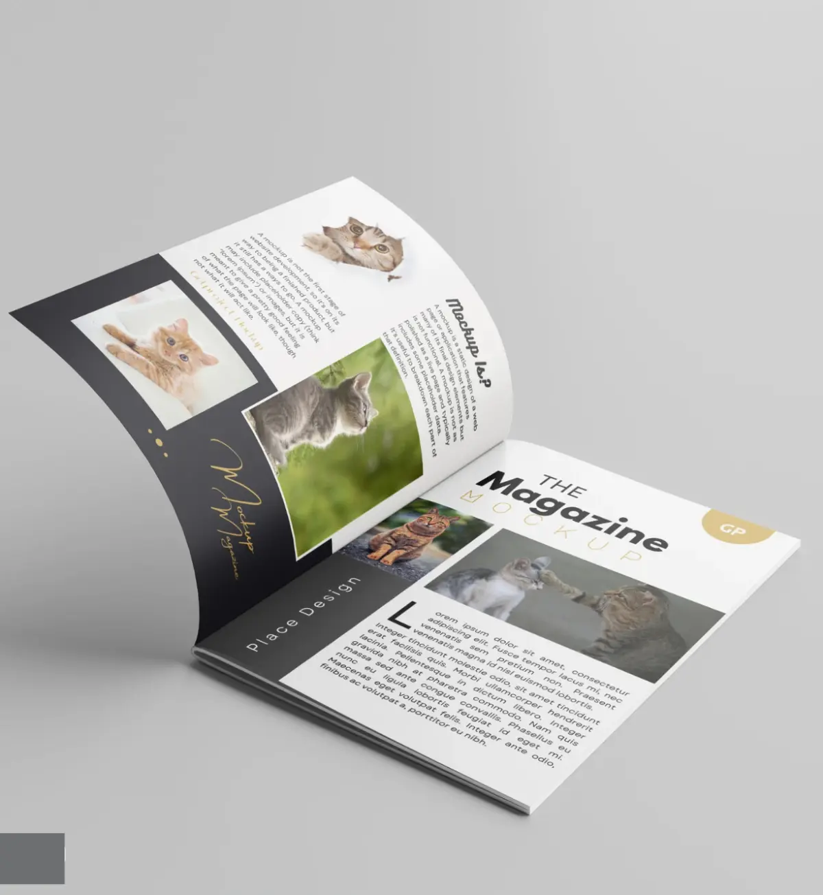 Magzine_02_WEBP_